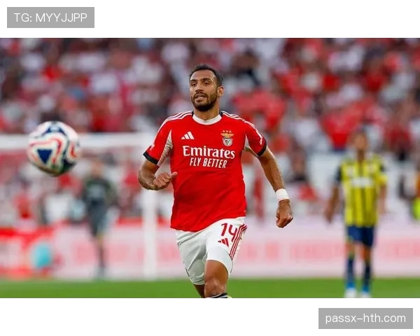 帕利尼亚巅峰期荣誉:葡萄牙体育联赛冠军主力解析 帕利尼亚巅峰期荣誉:葡萄牙体育联赛冠军主力解析