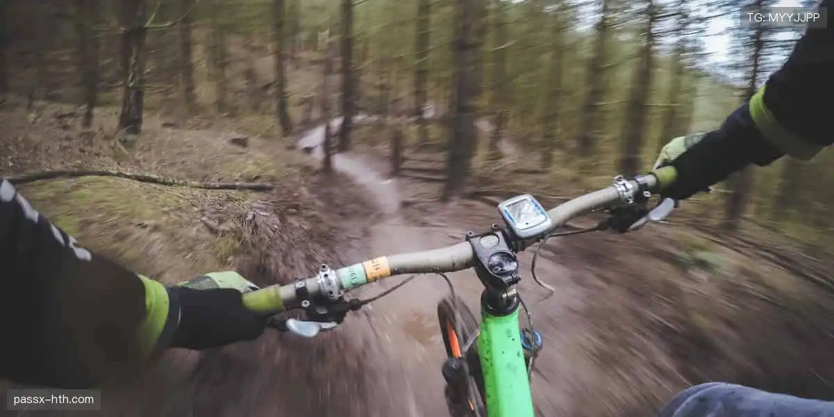 把热爱穿在身上,让每一件周边都成为你的骄傲!👕